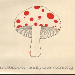 BitO$lymer at Santa Barbara, CA