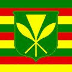 Hawaiian Minimal Track