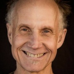 Ode to the Republic by Tony Hoagland