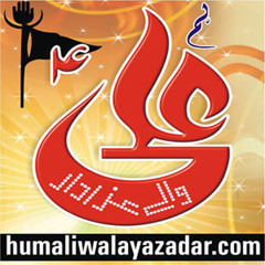 Zameen - E-Karbala Walay By Mir Hassan Mir 2017-18