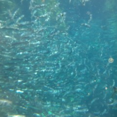 PROFIK - Well Yeah (PROFIKBEATS)