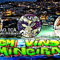 🔵MC ORELHA - SEJAM MUITO BEM VINDO A MINEIRA E SÃO CARLOS (( DJ RYAN DA MINEIRA )) EXCLUSIIIVAAA