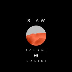 Tchami - SIAW (Galixi Remix)