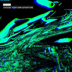 choose your own adventure.