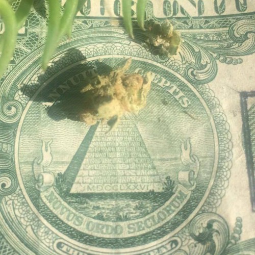 4 the Greens (Prod. by Doc Ellis)