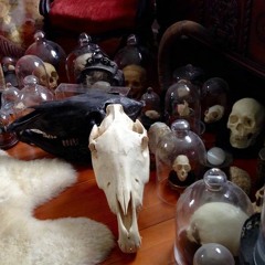 official offical-er XISIX  (accept no substitutes)