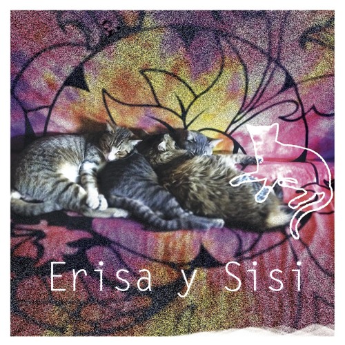 Erisa Y Sisi [dada Live]