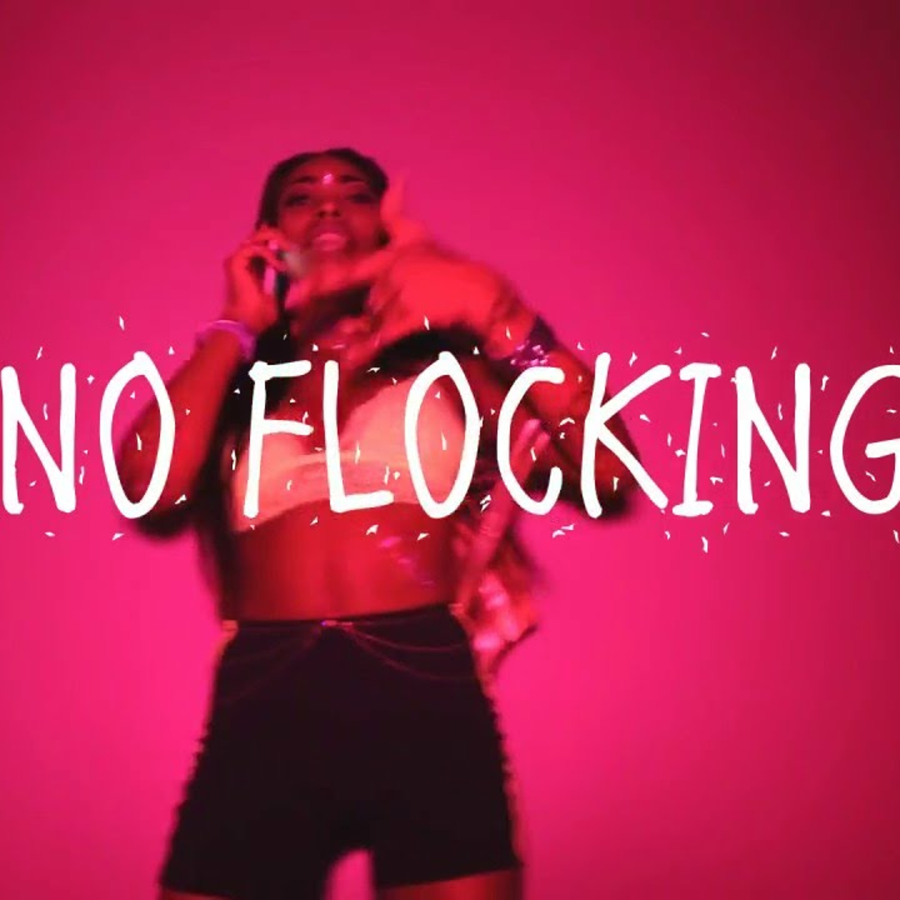 NO FLOCKING REMIX episode artwork