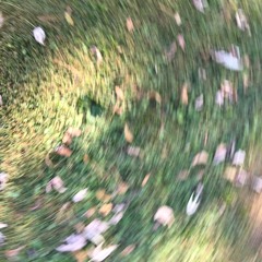 Lil' Round Top - Aqua Team (feat. Lil' Anime)