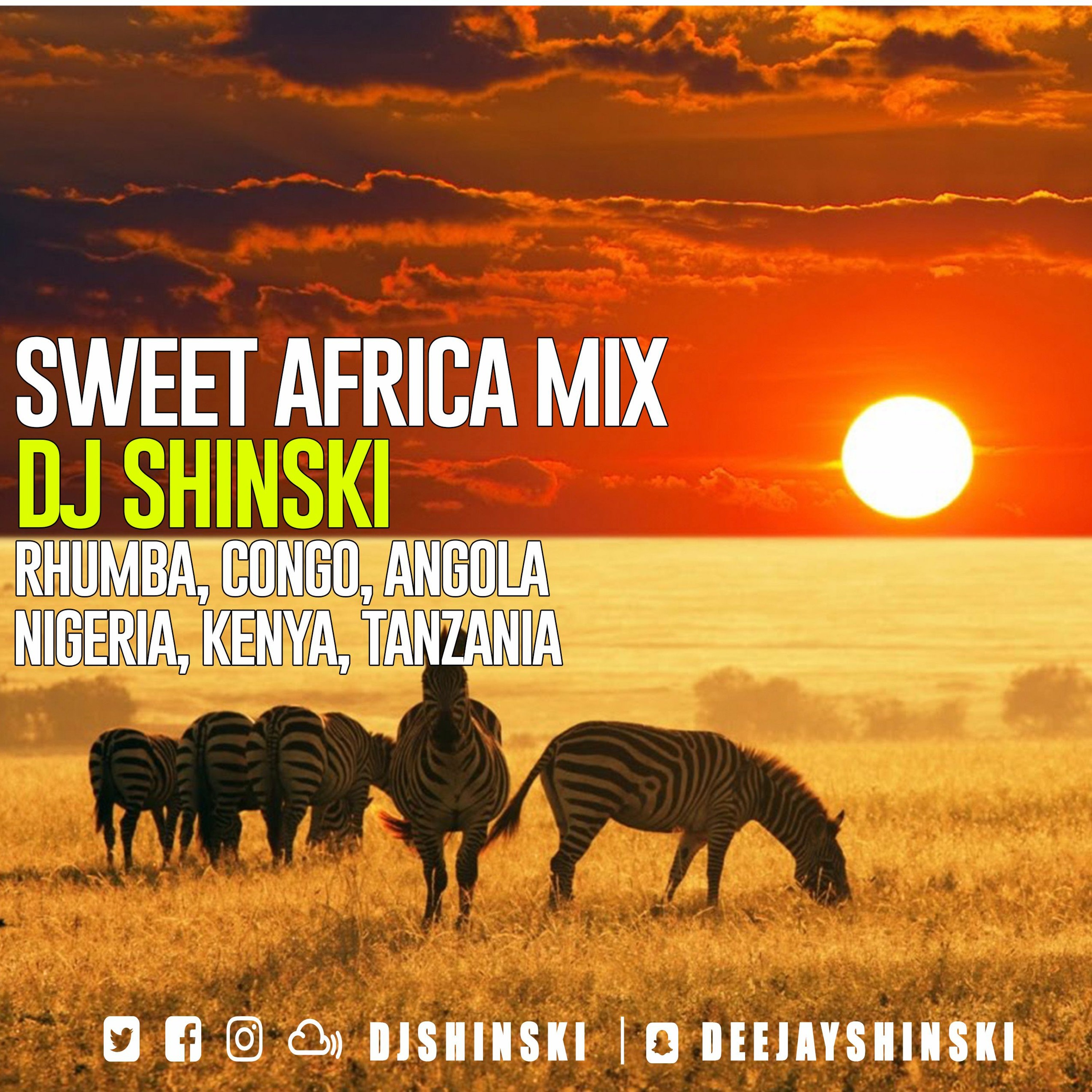 Dj Shinski New Mixes