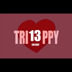 13 (prod.poi)