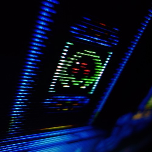 Lost Chance - Monachopsis