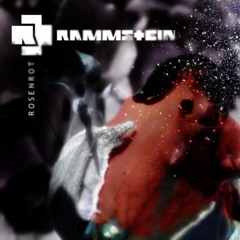 Rammstein - Rosenrot (instrumental cover)