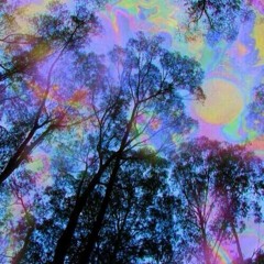New Chill