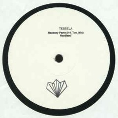 Tessela - Hackney Parrot (10 Ton Mix) / Headland