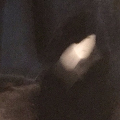 ǝʌol 'ʎɹʇ ǝɔᴉu