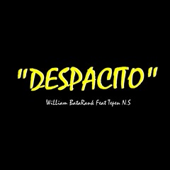 WiLLiam Batarank Feat Tepen N.S - Despacito Remix 2K17.mp3