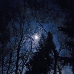 Lorenzo Senni - Elegant And Never Tiring Rework