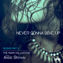 PREMIERE - The Miami Collective Ft. Angie Brown - Never Gonna Give Up (Remixes Part 2)