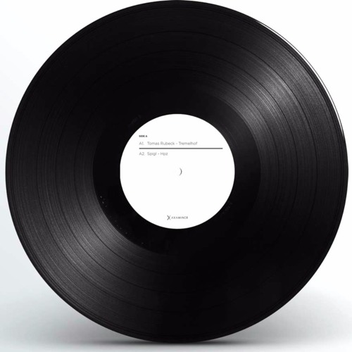 Stream Axaminer Records | Listen to Vinyl // Dub techno playlist online for  free on SoundCloud