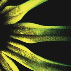 Lumière Blanche - Remastered