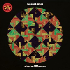 Weasel Disco - What A Difference (Original Mix)