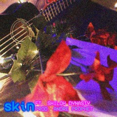 Skin (ft. Shiloh Dynasty)