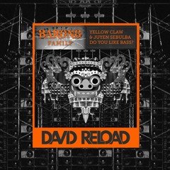 DO YOU LIKE BASS? (David Reload HARD BASS Remix)