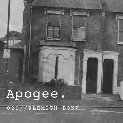 Apogee 022 // Flemish Bond