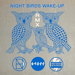 Night Birds Wake Up (dubwise Rmx) - KTOPP Meets Natural High Dubs