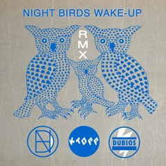 Night Birds Wake Up (steppas Rmx) - KTOPP Meets Natural High Dubs