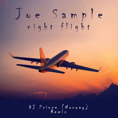 Night Flight (DJ Prince Extended version)
