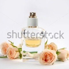 perfume celebrity