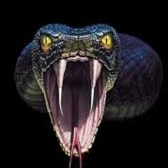 Tony Junior & Dropgun - Cobra (Black Face Bootleg) [FREE  DOWNLOAD IN DESCRIPTION]