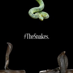 The Snakes (Tay-K The Race Remix)