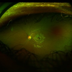 Diffusive - Hubris (feat. Charlie Herrenbruck)