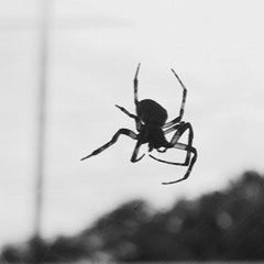 JEZIEL - Wishing Them Well