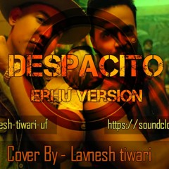 Despacito-Luis Fonsi, Ft.Daddy Yankee(Erhu Cover Version )BY-Lavnesh Tiwari