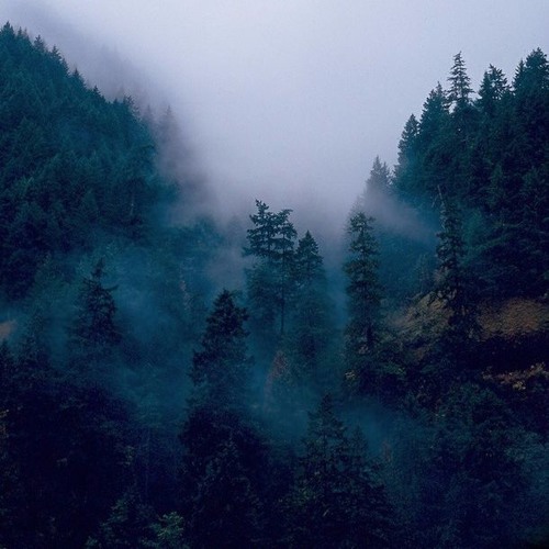 p:-) :-) :-) :-) :-)  :-) :-) :-) :-) :-) :-) :-) :-) :-) :-) :-) :-) :-) :-) :-) :-) :-) :-) :-)