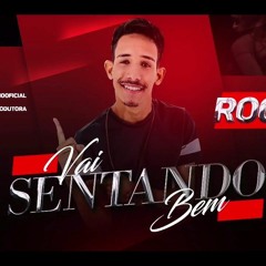 MC ROGINHO - VAI SENTANDO BEM (PROD. DJ YURI DO MARTINS E DANI BALA) 2K17