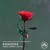 Artwork for SONIC GEMS | Vol 74 | hip-hop, progressive r&b, deep house, future bass, chill trap