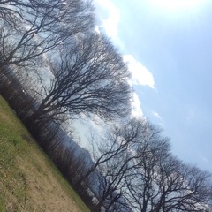 NAKAMURA Noriko 天聲地韻 Vox Caelum  Terra Rithimus  (2016)