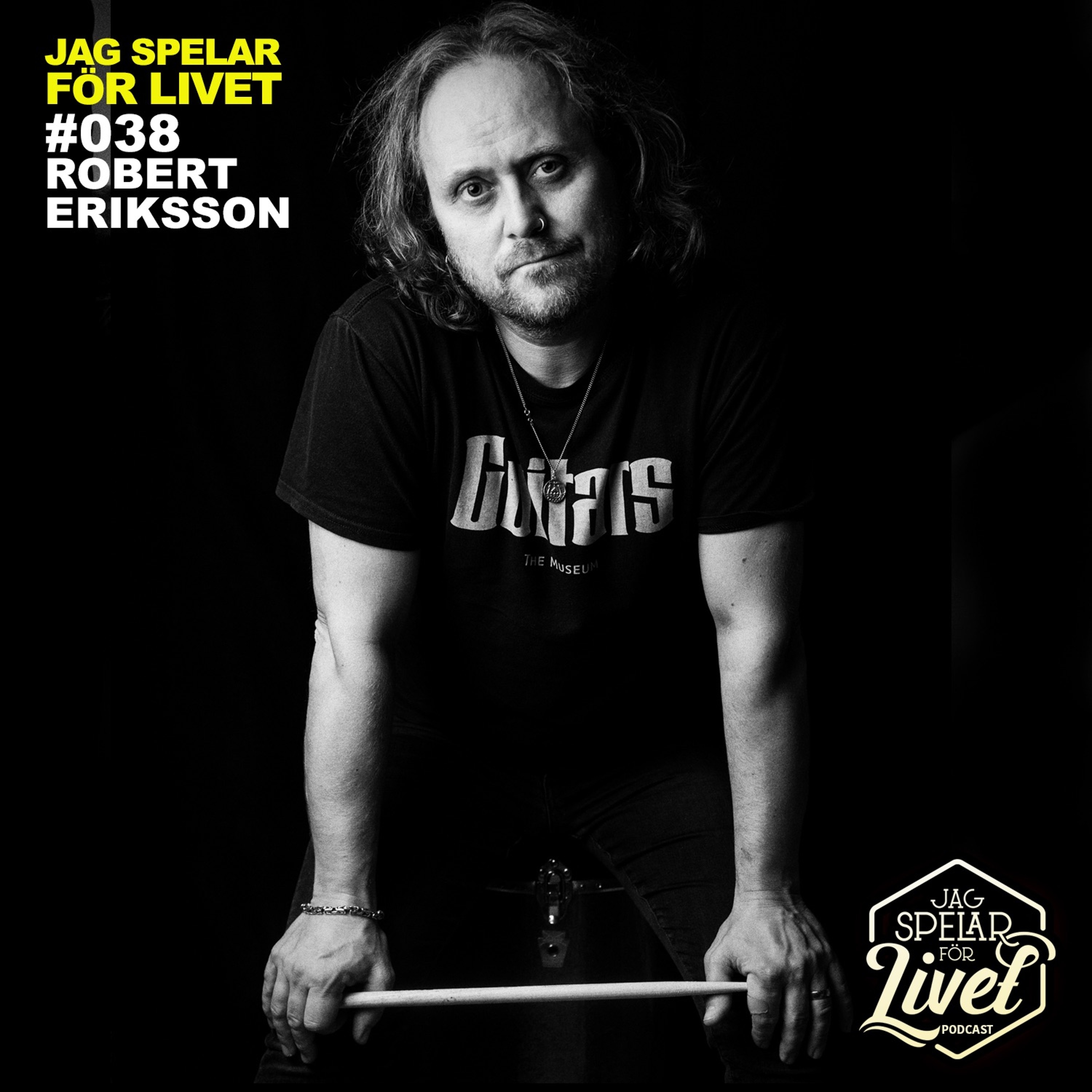 Jag Spelar för Livet - Musiker om Musik