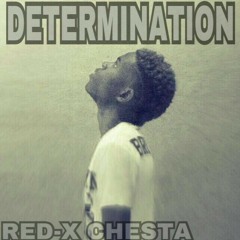RED-X CHESTA - DETERMINATION
