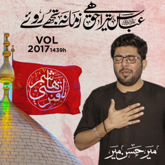 Abbas (a.s) Tera Haq Hai Mir Hasan Mir New Noha 2017/1439 HD Mp3