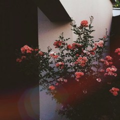 Hawaayein (cover) - Sanaea Takia