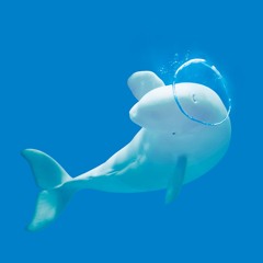 Marcos Valle - Nao Tem Nada Nao /  DJ Sanshiro Re-Edit