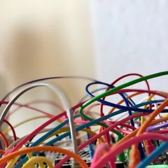 Wanted To Become A Zebra