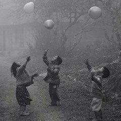 Mine Söğüt-Deli Kadın Hikayeleri/Beni Öldürmek İsteyen Muhteşem Hayat