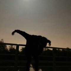 PROVIDENCE - BumpStock Freestyle(Prod 6666)